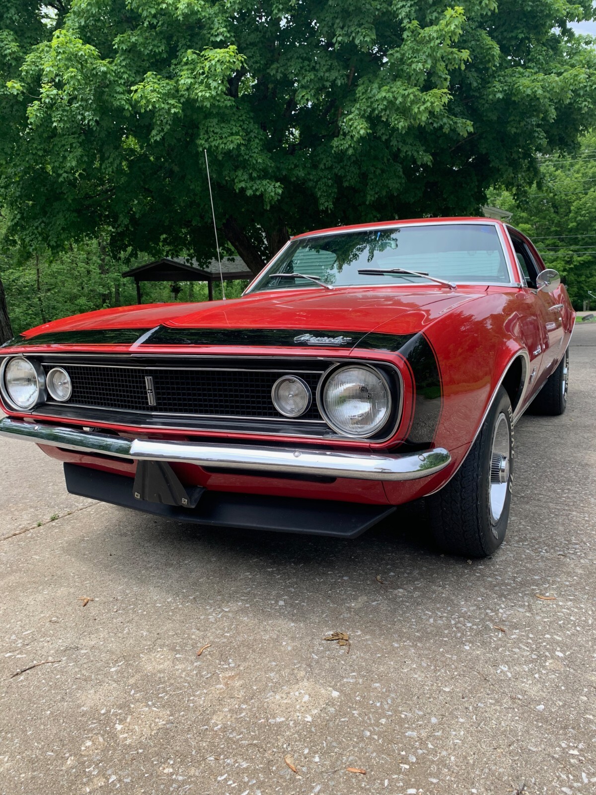 Chevrolet-Camaro-1967-5
