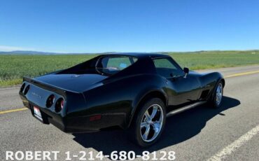 Chevrolet-Corvette-1976-11