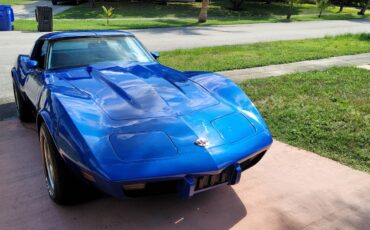 Chevrolet-Corvette-1978-6