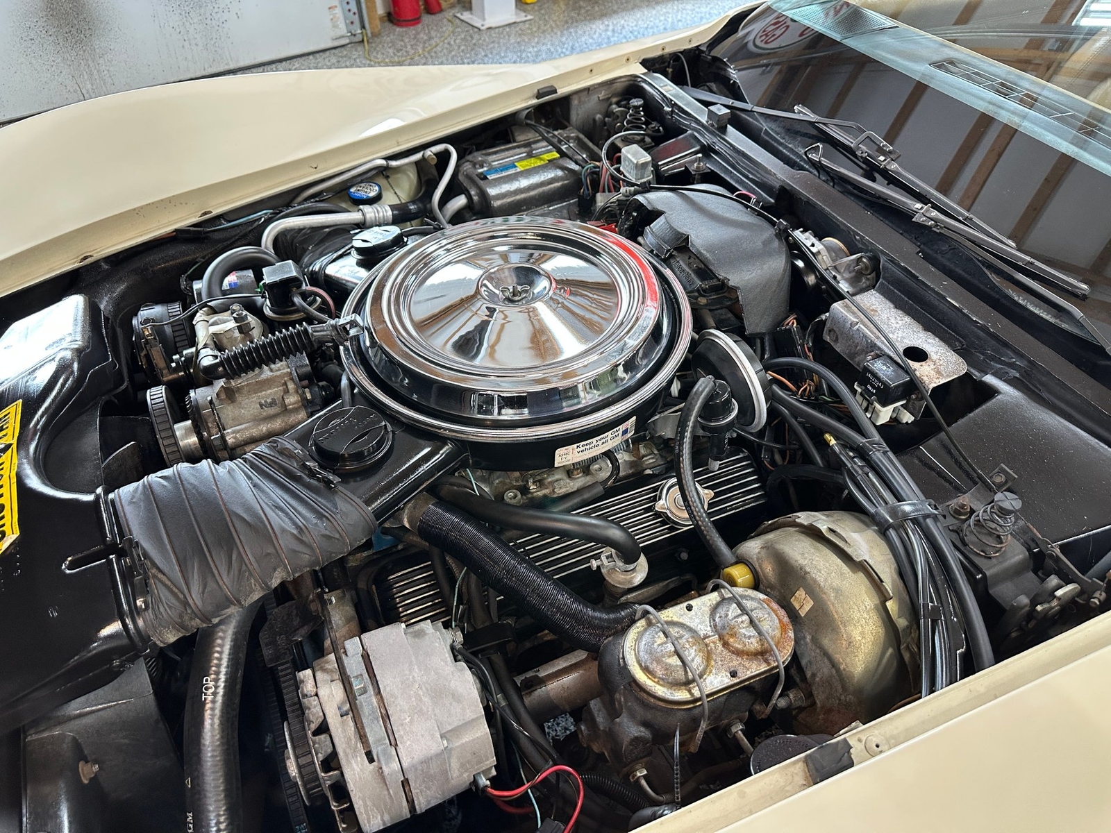 Chevrolet-Corvette-1981-22