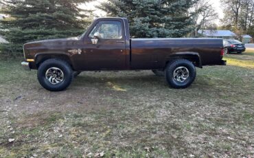 Chevrolet-K20-4x4-1984-brown-211364