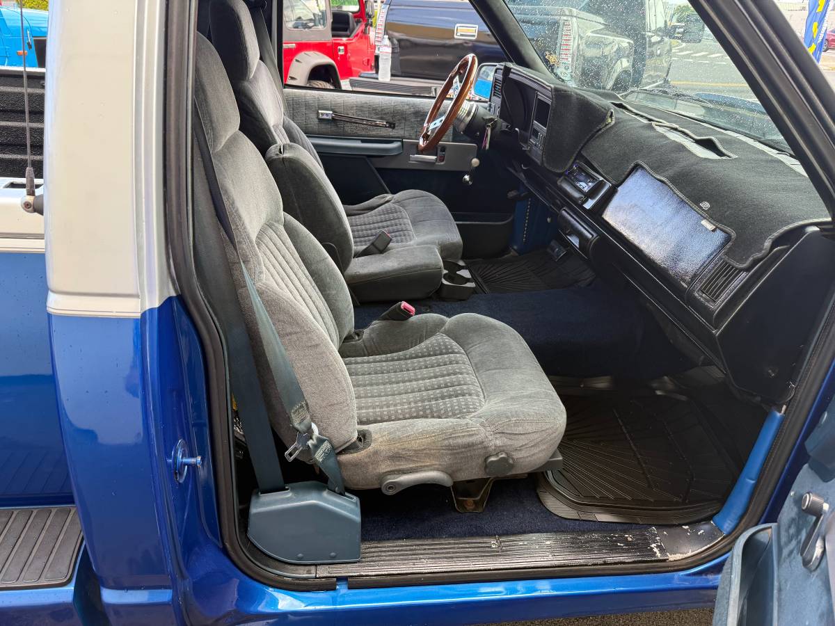 Chevrolet-Silverado-1500-1994-blue-267150-16
