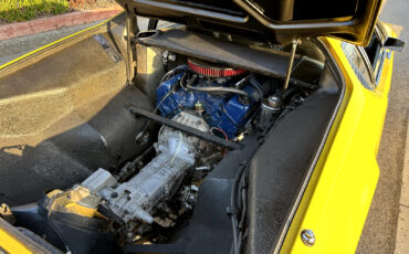 De-Tomaso-Pantera-1971-31