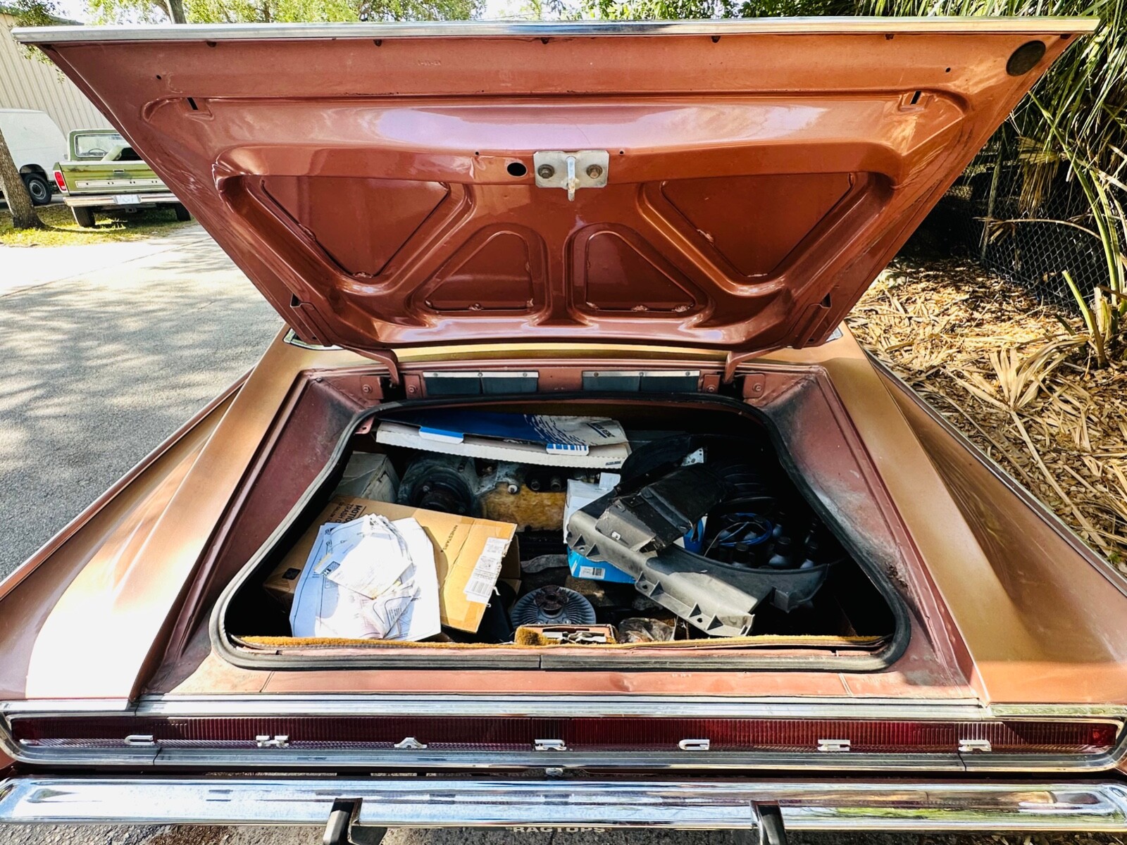 Dodge-Charger-1967-13