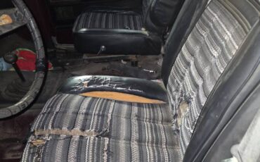 Ford-Bronco-1979-brown-17703-7