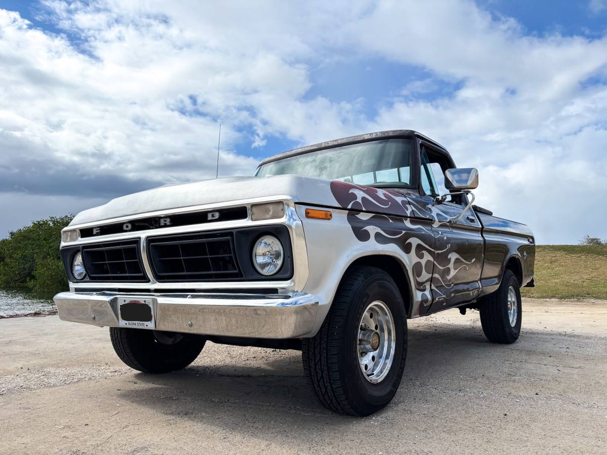 Ford-F100-custom-1975-42710