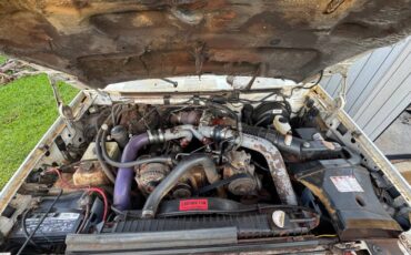 Ford-F250-super-duty-diesel-1994-257494-4