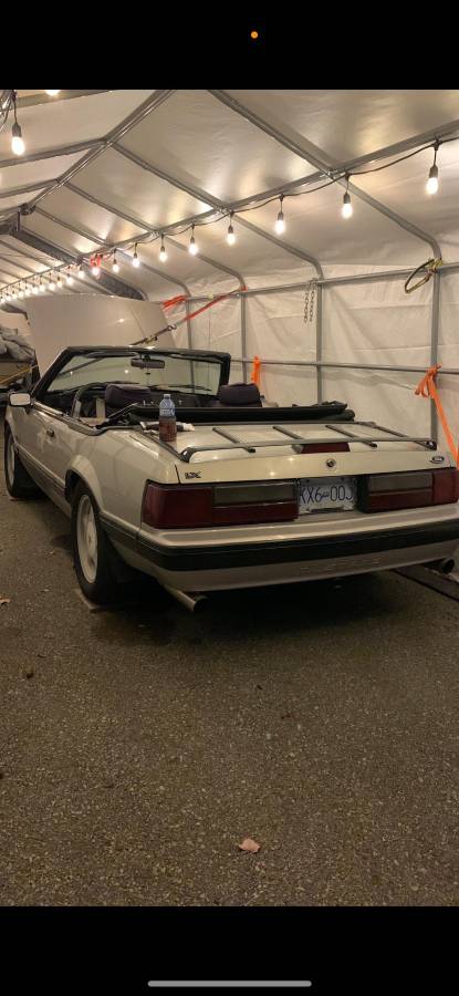 Ford-Mustang-1991-grey-188293-6