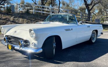 Ford-Thunderbird-1955-white-2