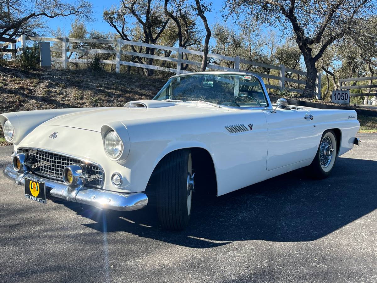 Ford-Thunderbird-1955-white-2