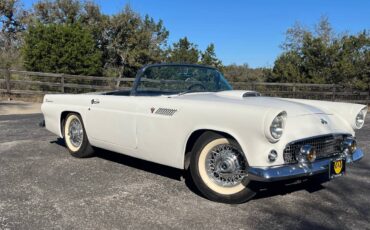 Ford-Thunderbird-1955-white-3