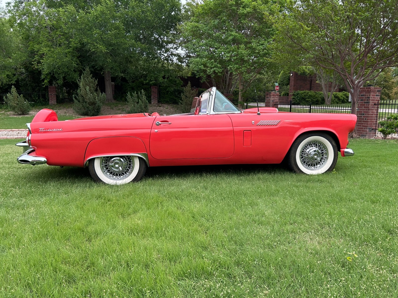 Ford-Thunderbird-1956-1