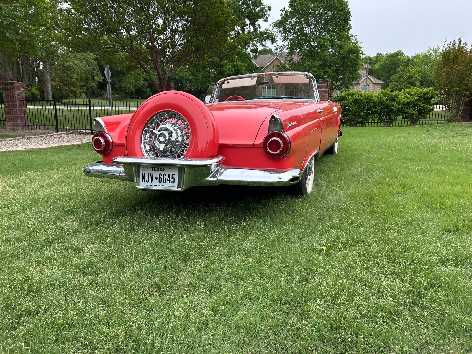 Ford-Thunderbird-1956-3