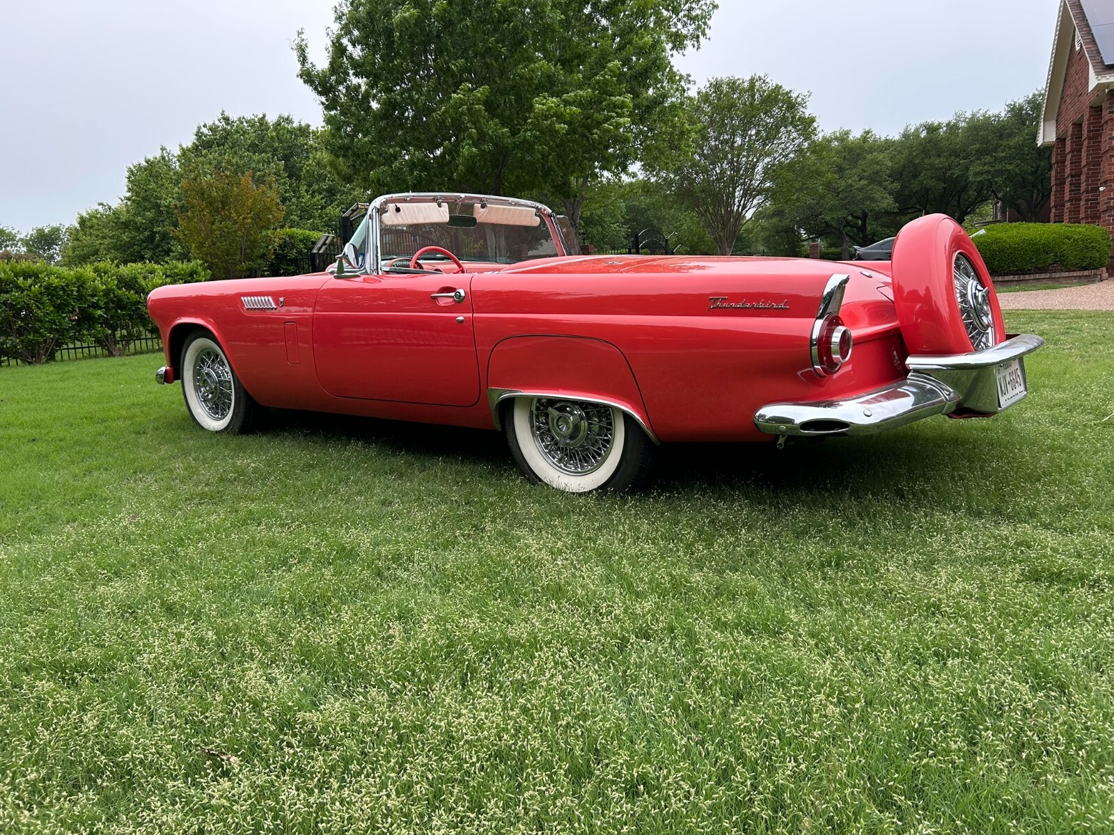 Ford-Thunderbird-1956-5
