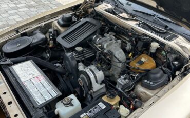Ford-Thunderbird-1987-15