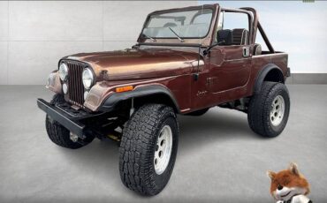 Jeep-Cj-4wd-1984-2-17