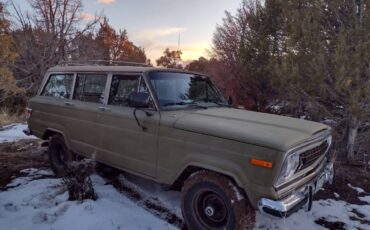 Jeep-Wagoneer-1976-green-1223277