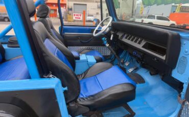 Jeep-Wrangler-1991-blue-321868-19