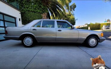 Mercedes-benz-benz-420-series-1987-66020-18