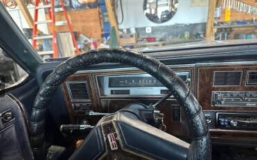 Oldsmobile-88-1981-blue-238182-4
