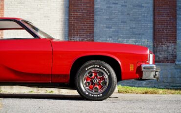 Oldsmobile-Cutlass-1974-13