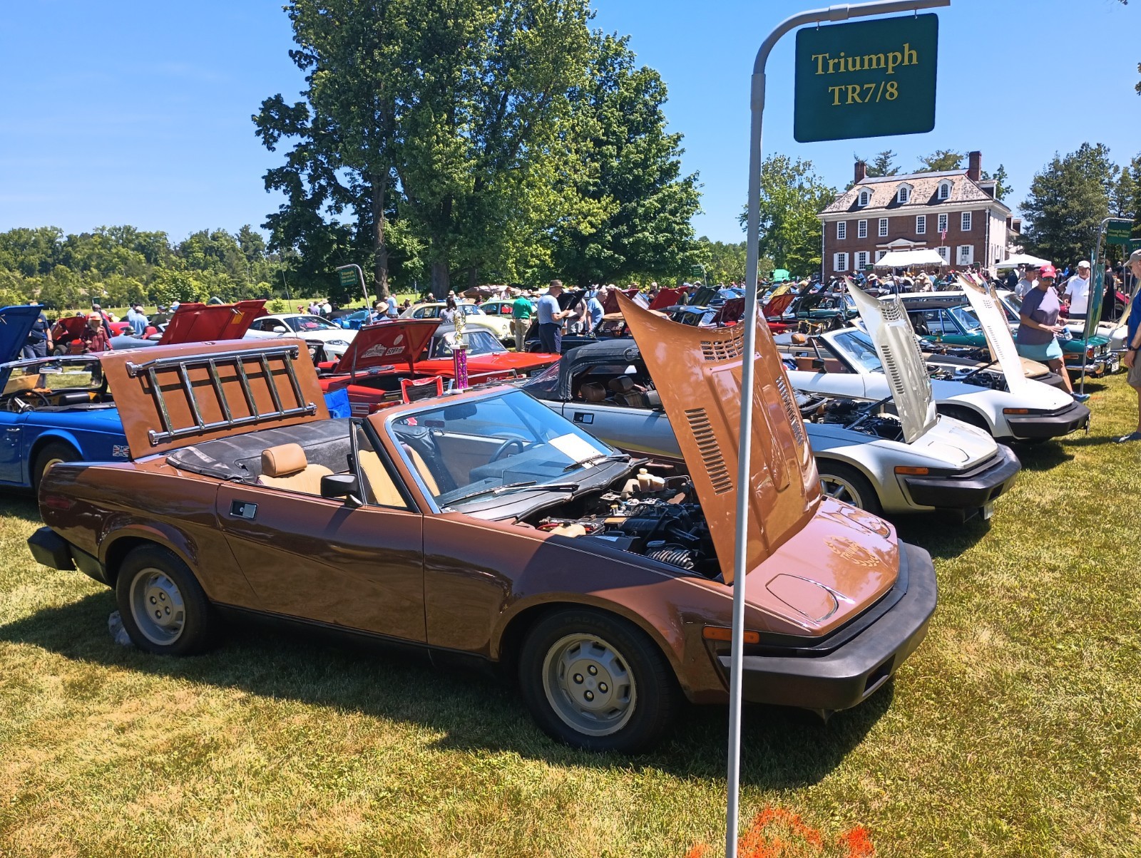 Triumph-TR7-1980-7