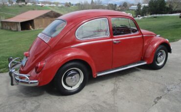 Volkswagen-Beetle-Classic-1966-18