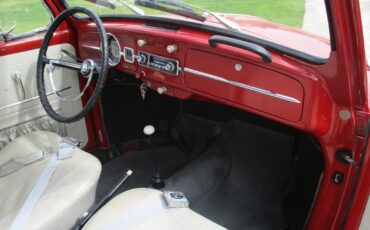 Volkswagen-Beetle-Classic-1966-20