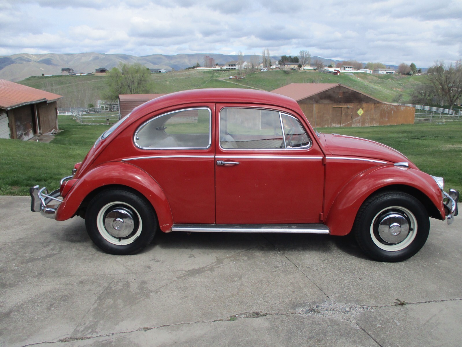 Volkswagen-Beetle-Classic-1966-29