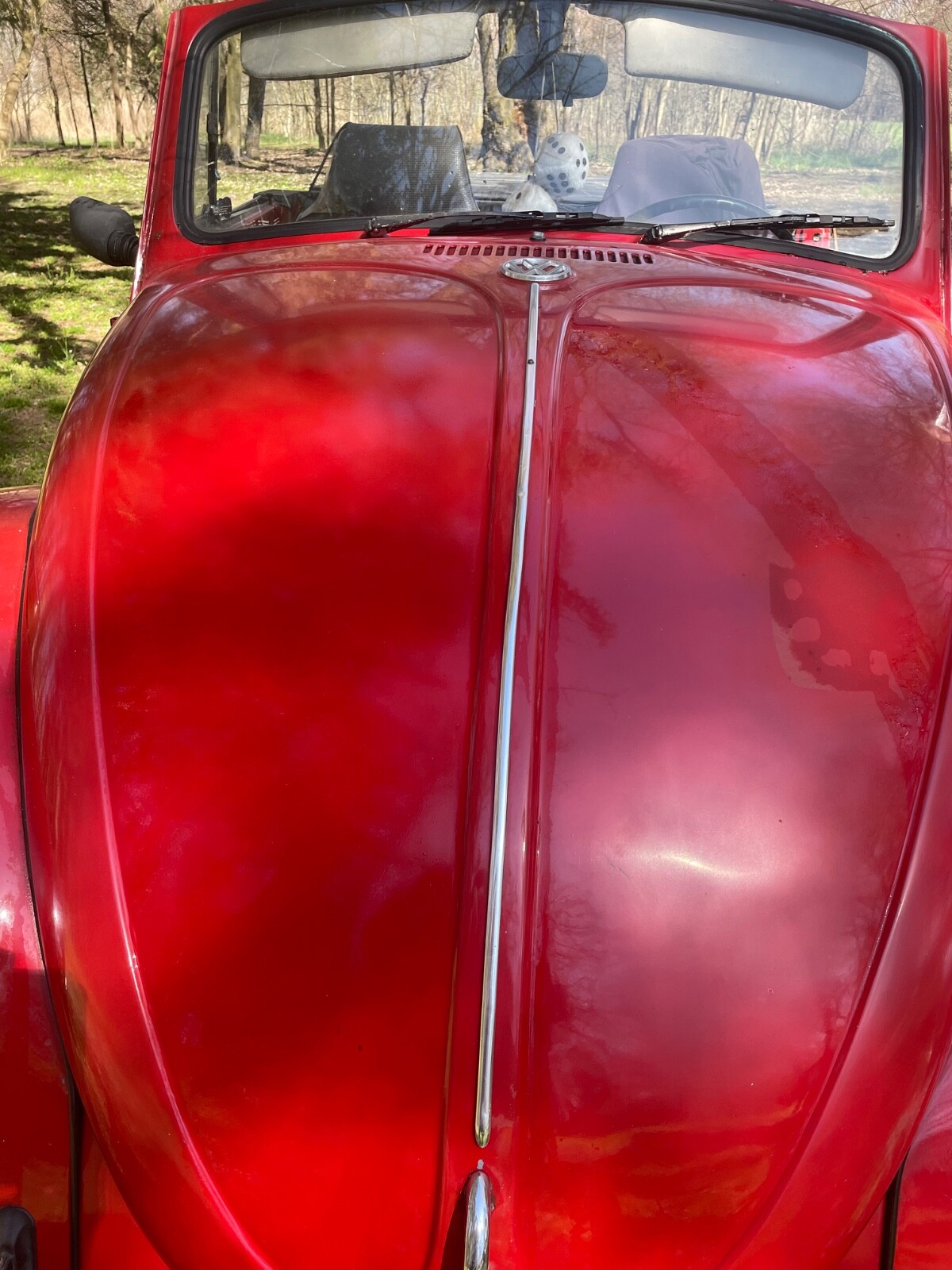 Volkswagen-Beetle-Classic-1968-13