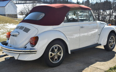 Volkswagen-Beetle-Classic-1979-10