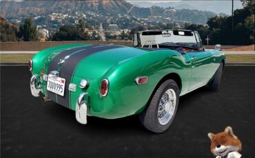 AC-BRISTOL-ACE-REPLICA-BRISTOL-1979-Convertible-12