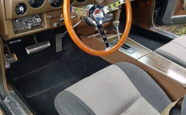AMC-AMX-1969-Coupe-10