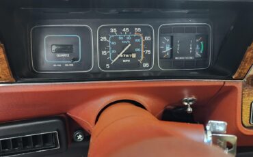 AMC-Eagle-1980-SUV-14