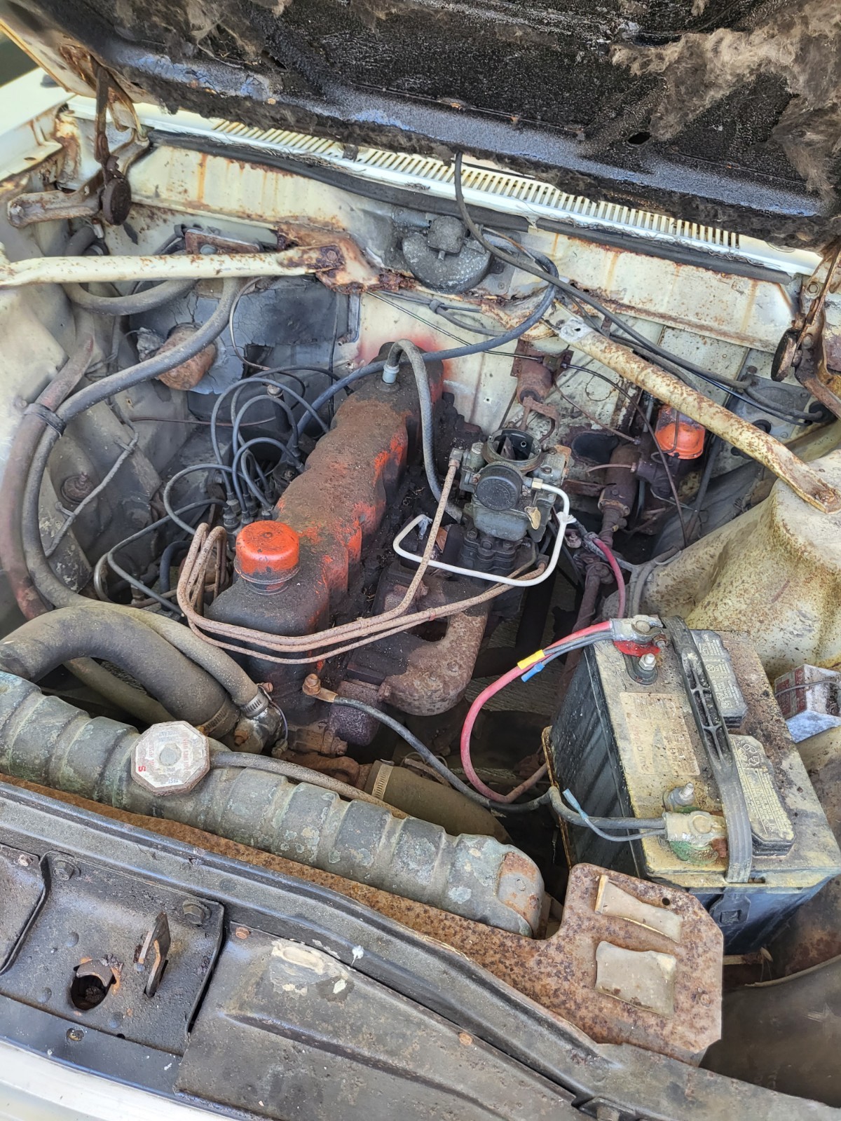 AMC-Other-1966-3.2-l-8