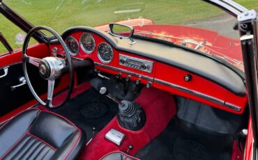 Alfa-Romeo-Giulia-1965-13
