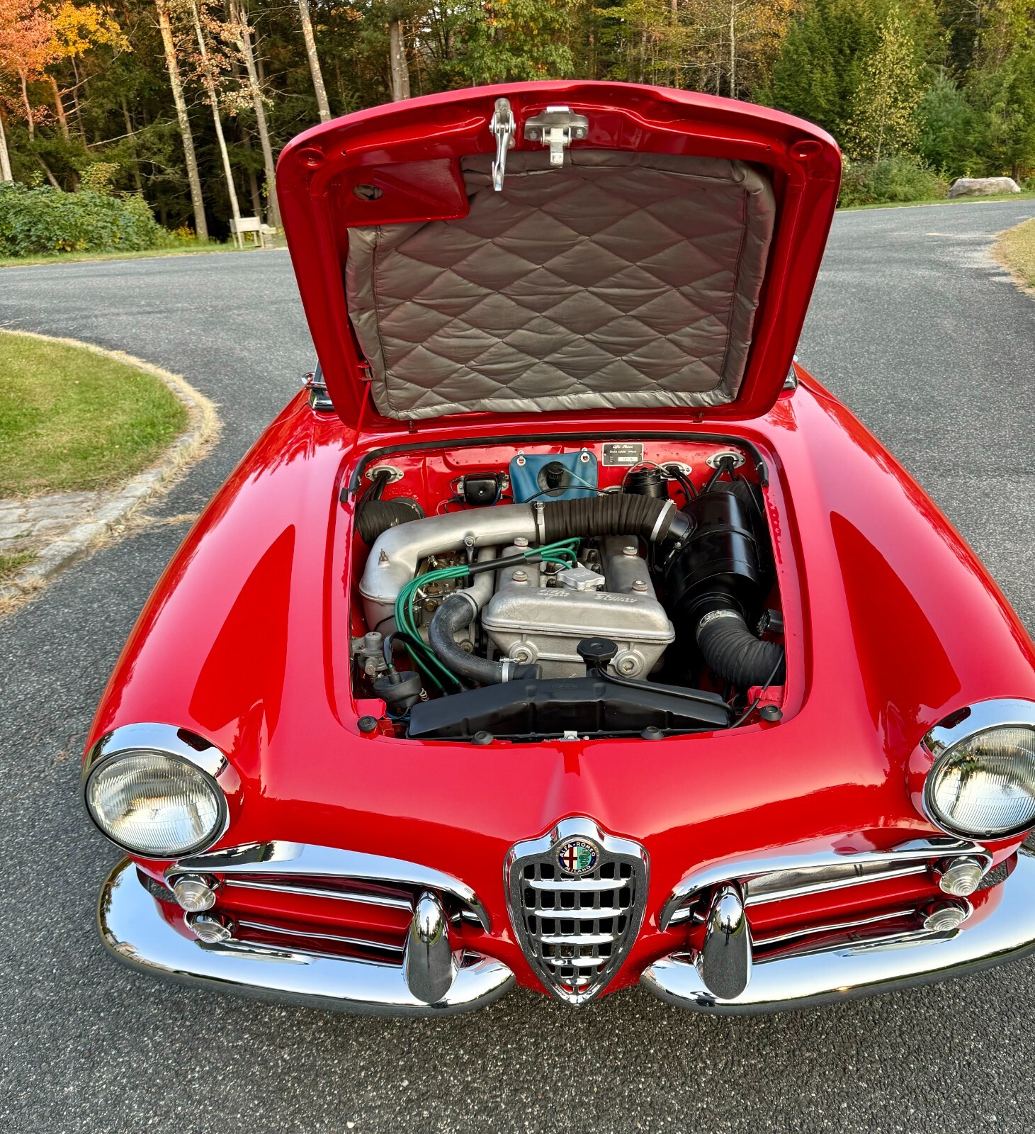Alfa-Romeo-Giulia-1965-26