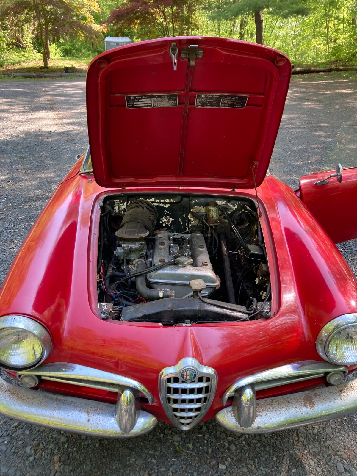 Alfa-Romeo-Giulietta-1959-Convertible-1