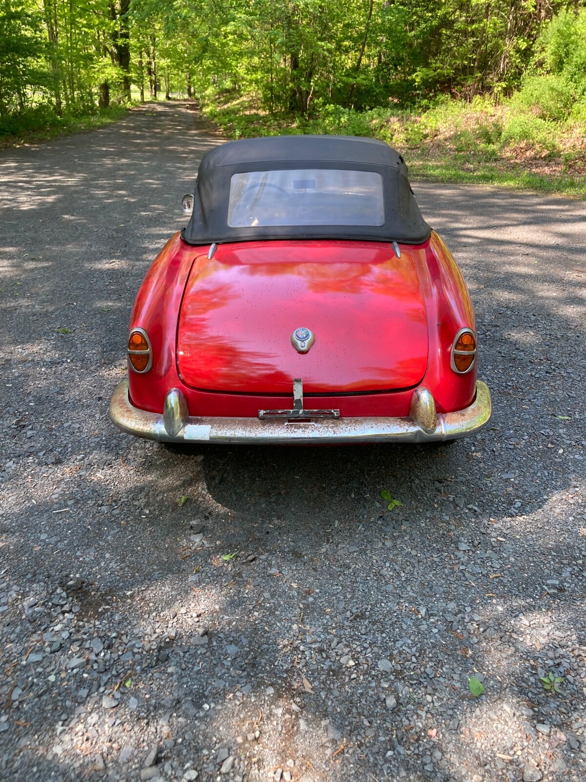Alfa-Romeo-Giulietta-1959-Convertible-18