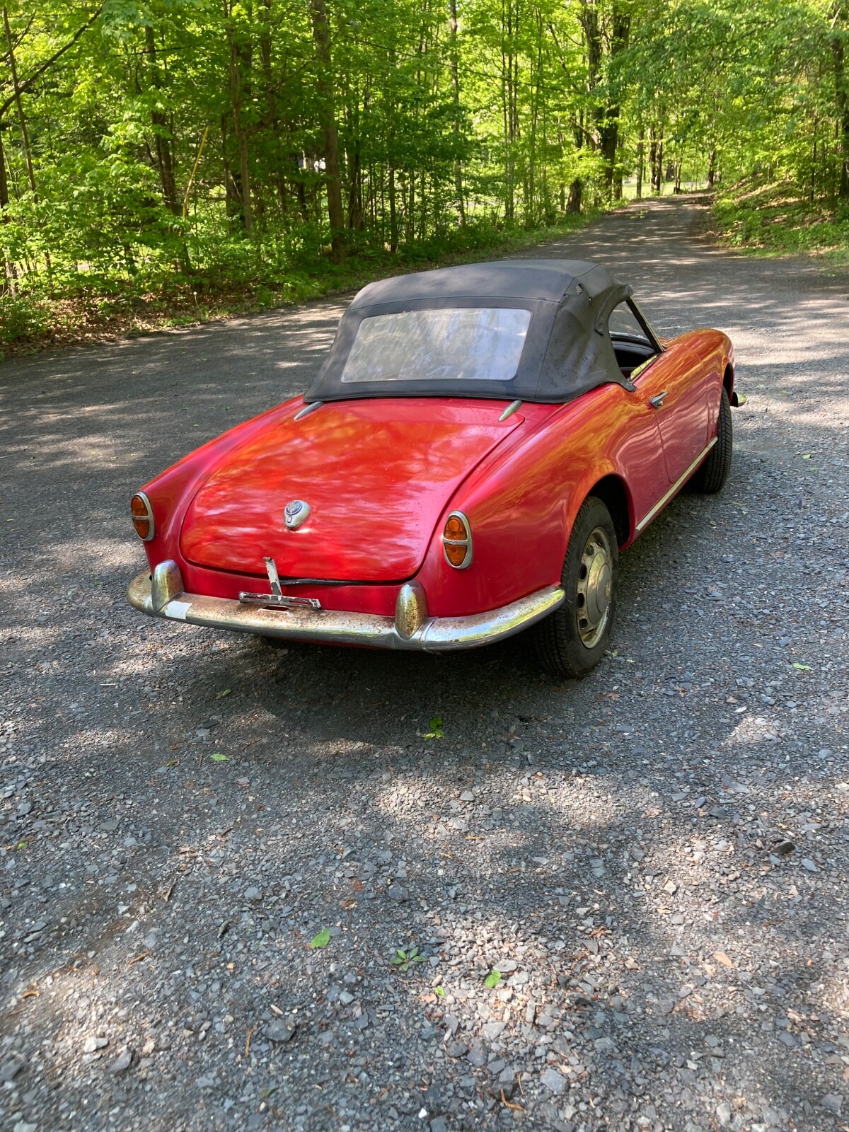 Alfa-Romeo-Giulietta-1959-Convertible-6