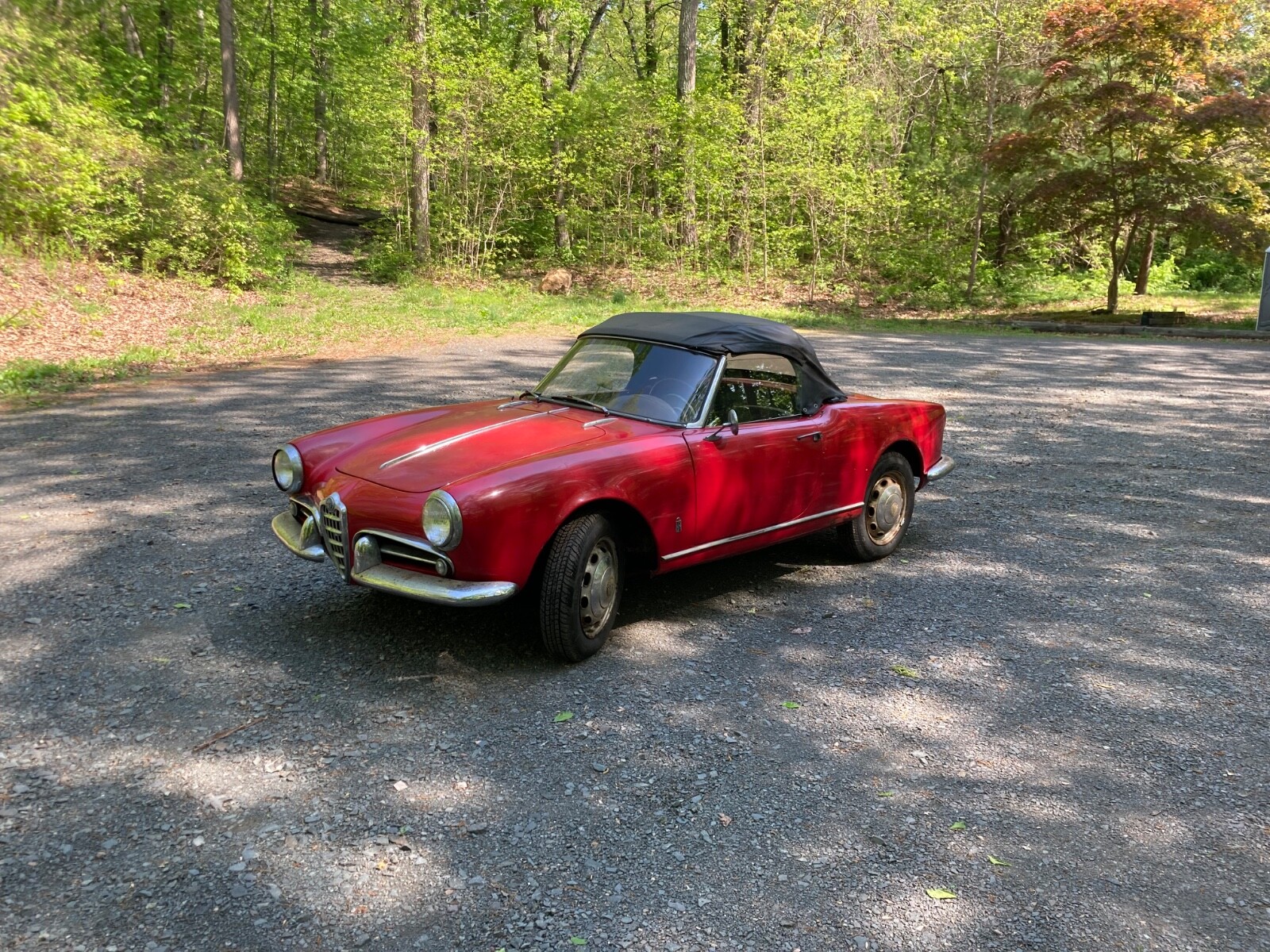Alfa-Romeo-Giulietta-1959-Convertible-8