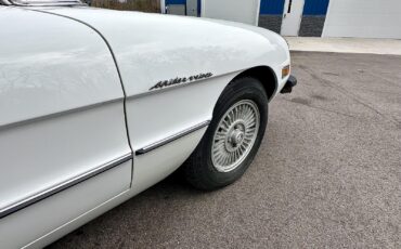 Alfa-Romeo-Spider-1980-EXCELLENT-DRIVER-14