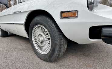 Alfa-Romeo-Spider-1980-EXCELLENT-DRIVER-15