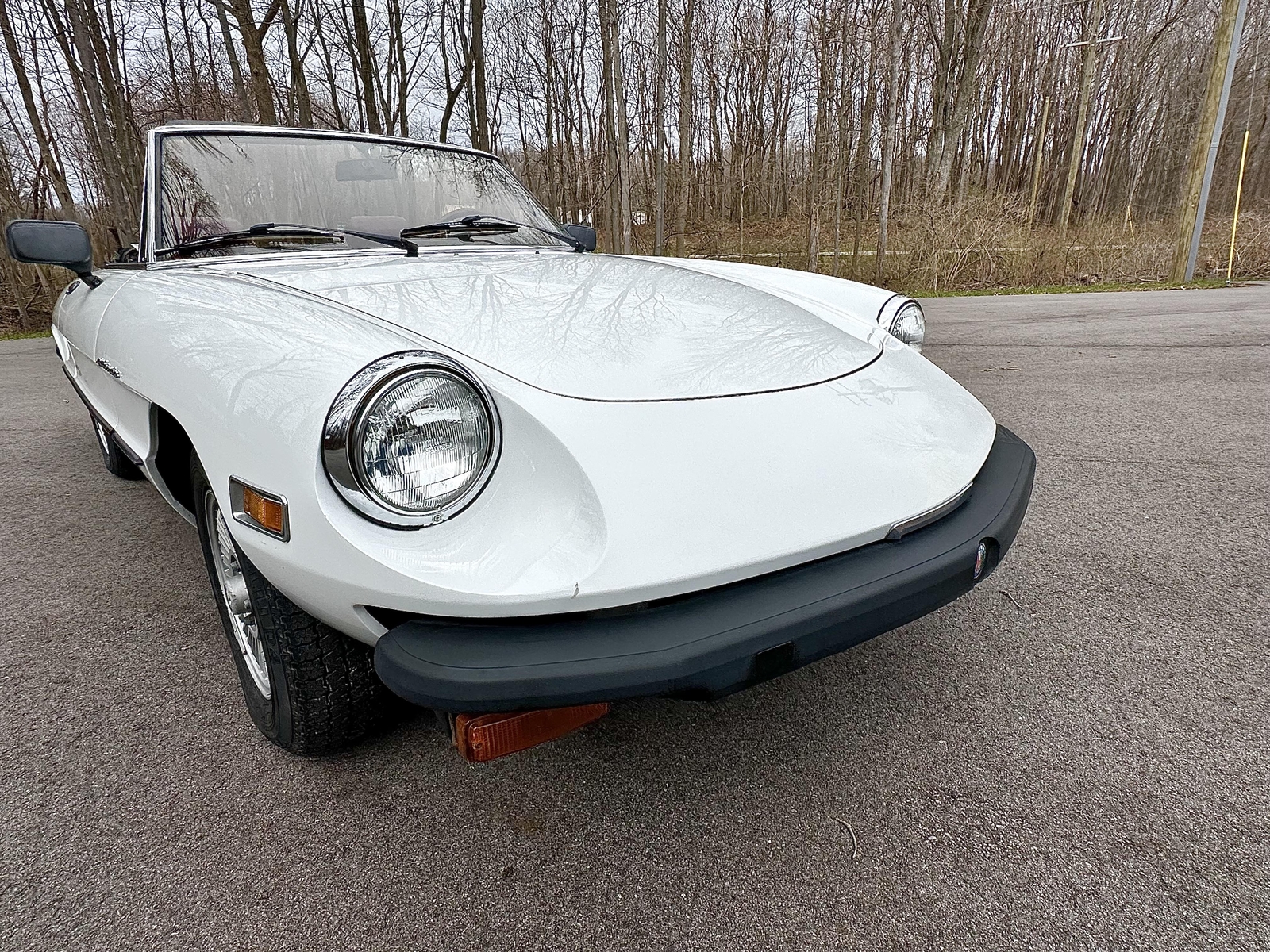 Alfa-Romeo-Spider-1980-EXCELLENT-DRIVER-16