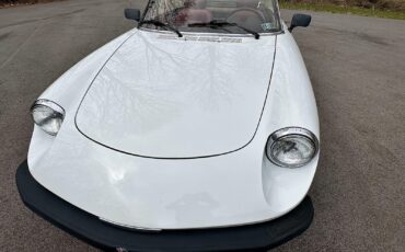 Alfa-Romeo-Spider-1980-EXCELLENT-DRIVER-18