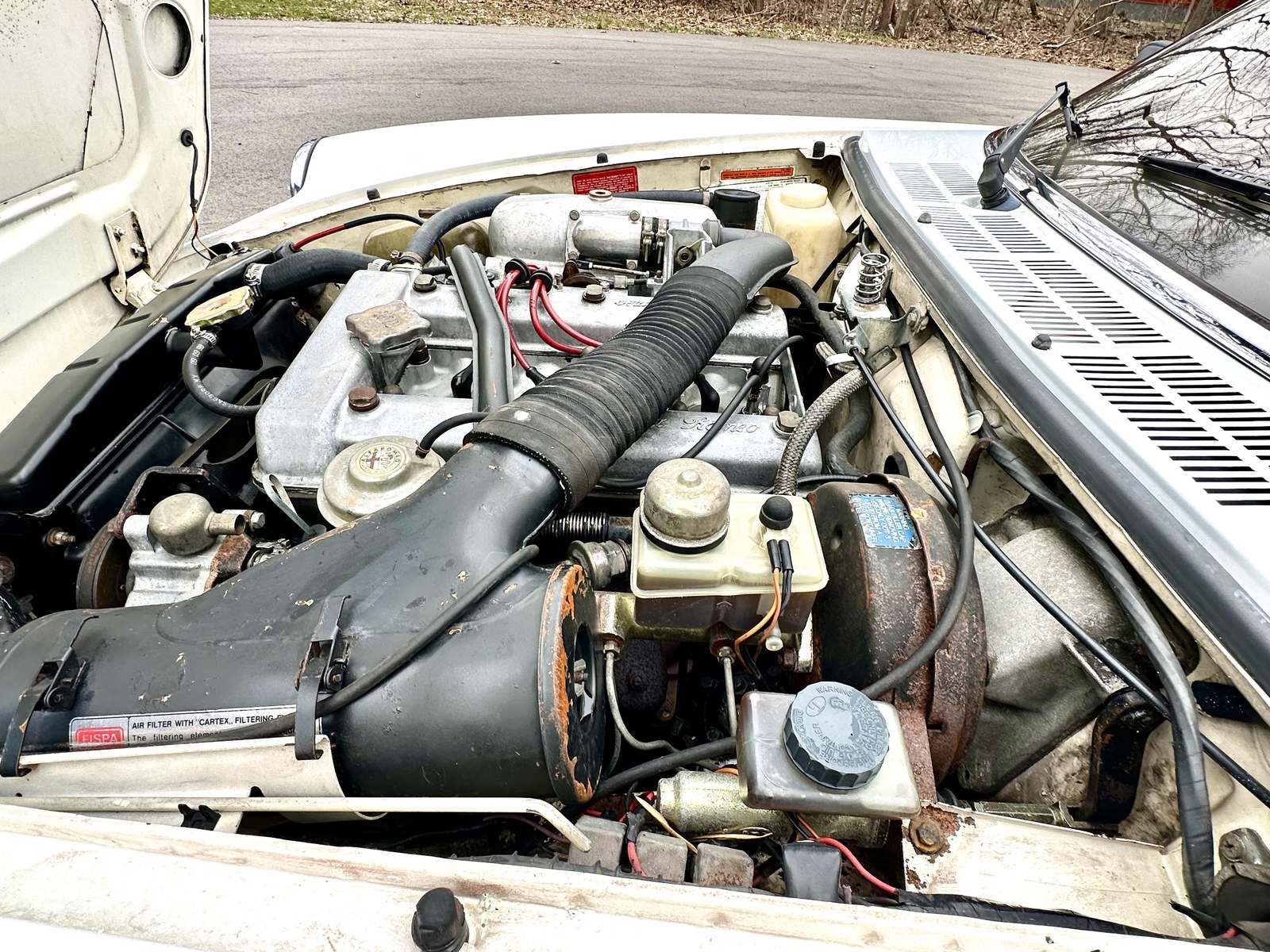 Alfa-Romeo-Spider-1980-EXCELLENT-DRIVER-2