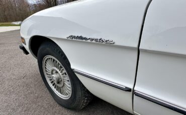 Alfa-Romeo-Spider-1980-EXCELLENT-DRIVER-20