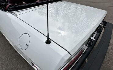 Alfa-Romeo-Spider-1980-EXCELLENT-DRIVER-26