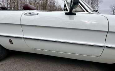Alfa-Romeo-Spider-1980-EXCELLENT-DRIVER-34