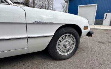 Alfa-Romeo-Spider-1980-EXCELLENT-DRIVER-35